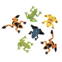 8 Tropical Frogs- alt image 0