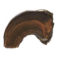 Mont Marte Dimension Acrylic Paint 75ml Tube - Burnt Umber- alt image 0
