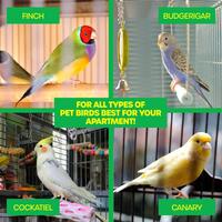 Bird Feeder Stainless Steel 12.5cm 580ml- alt image 2