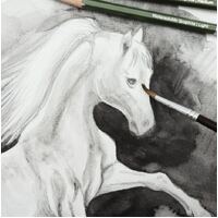 Mont Marte Signature Watersoluble Graphite Pencil Set - 5pc With Brush- alt image 5