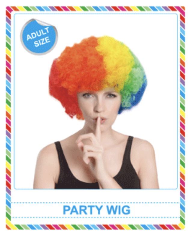Carnival Afro Costume Wig- main image