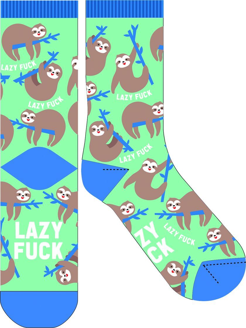 Frankly Funny Novelty Socks - Lazy Sloth- main image