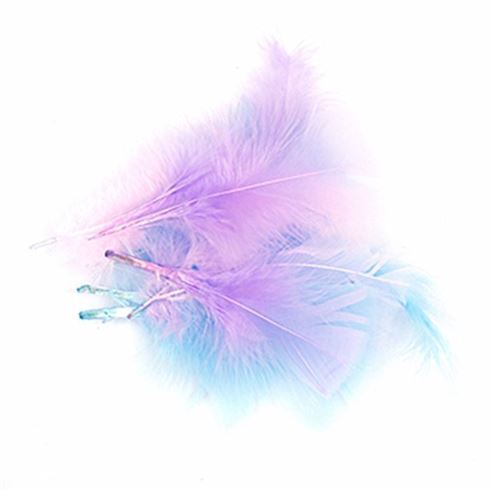 Craft Feathers Pink Blue Lilac 10g- main image