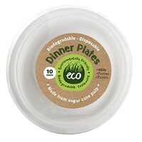 Eco Disposable Dinner Plates - 10 Pack- main image
