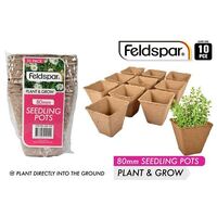 10Pce Seeding Pots 8cm- main image