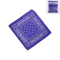 Bandana Blue- main image