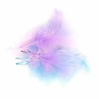 Craft Feathers Pink Blue Lilac 10g- main image