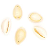 Shell Cowrie Beads with 2 Holes 25g- main image