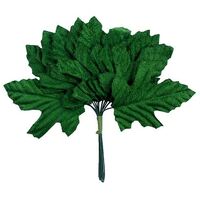 Velvet Leaf Oak Green 12pcs- main image
