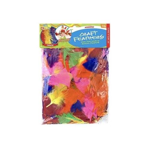 Assorted Coloured Craft Feathers 12g Bag