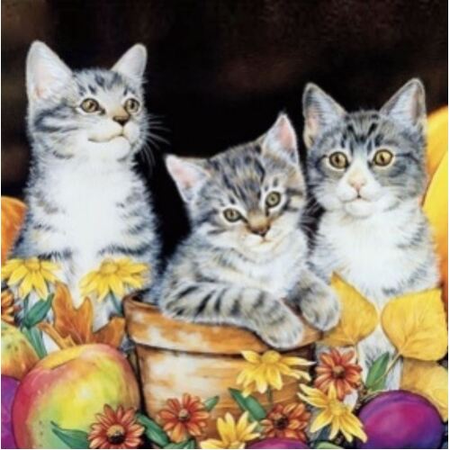 Diamond Art Picture 5D Full Drill Size 30x30cm Cats Flowers