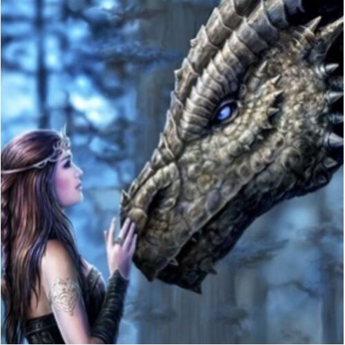 Diamond Art Picture 5D Full Drill Size 30x30cm Dragon and Girl