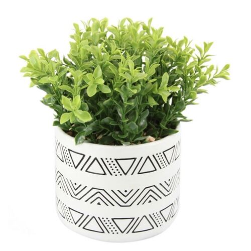 Cheap Shop Near Me Australia Best Quality Discount Store Online